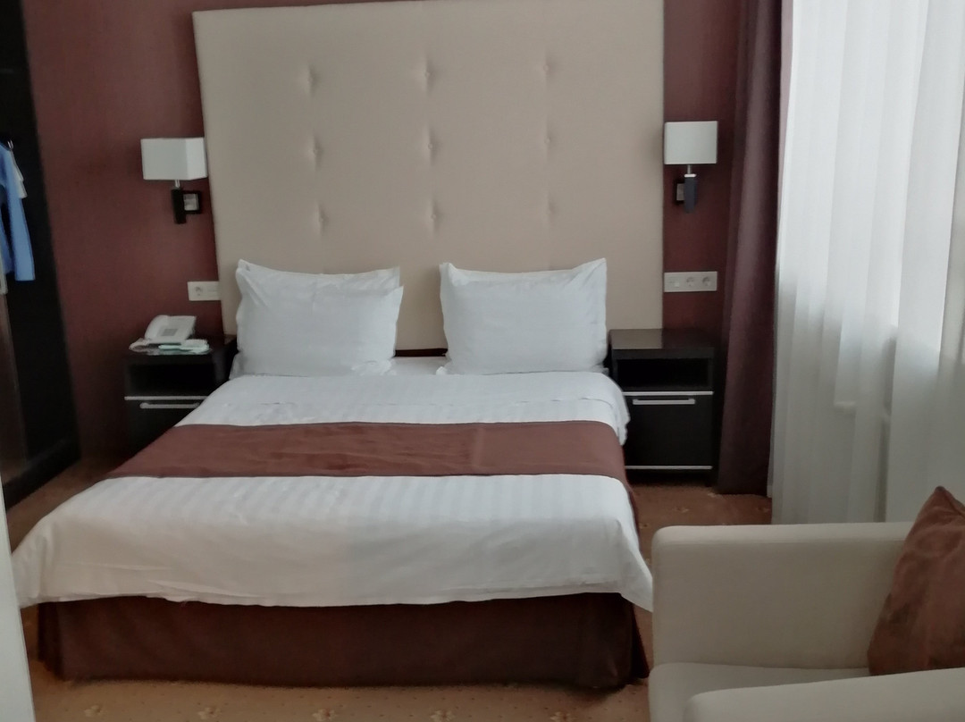 Hotel Metelitsa主图