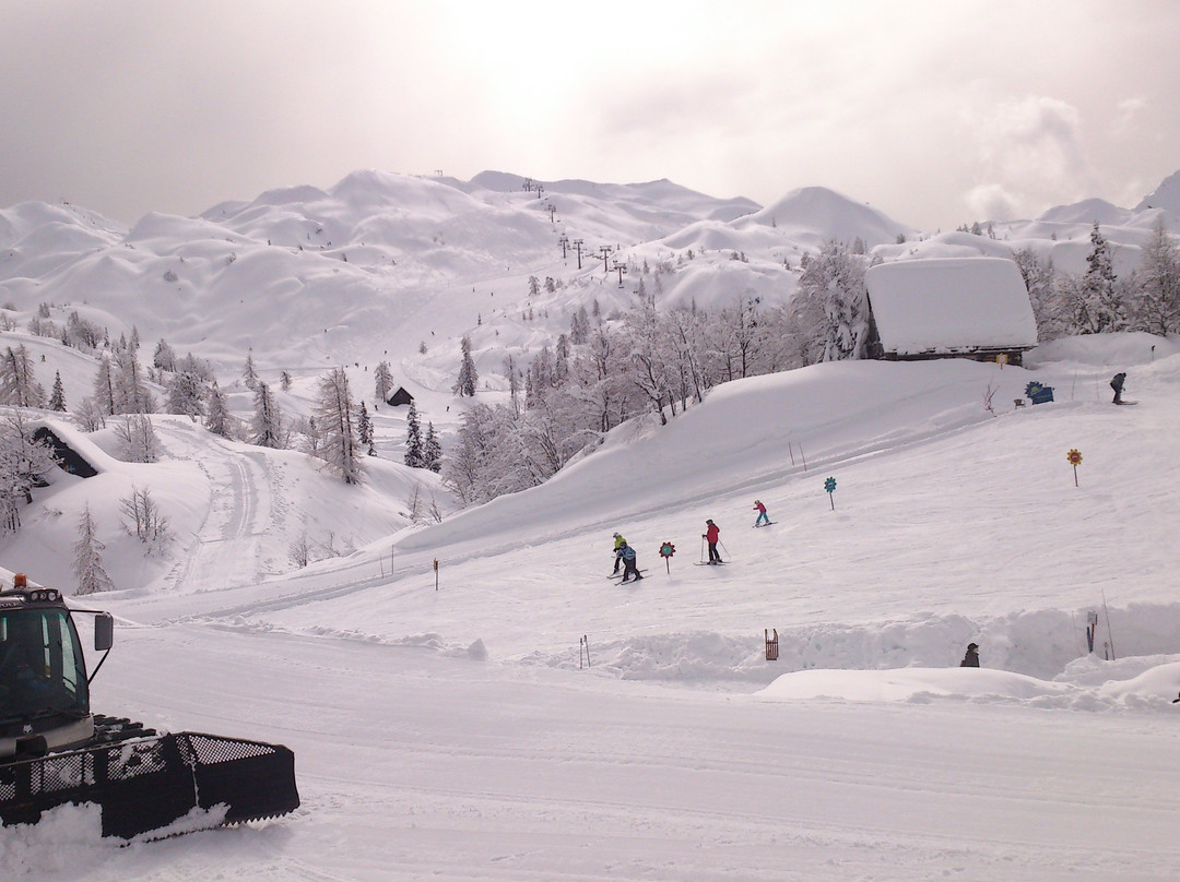 Ski Finzgar景点图片