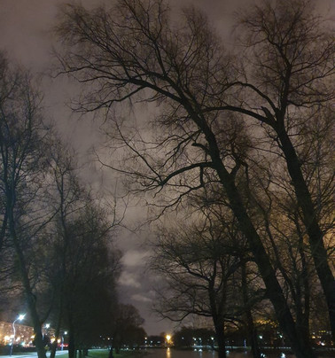 Murinsky Park of Culture and Leisure-圣彼得堡必去景点