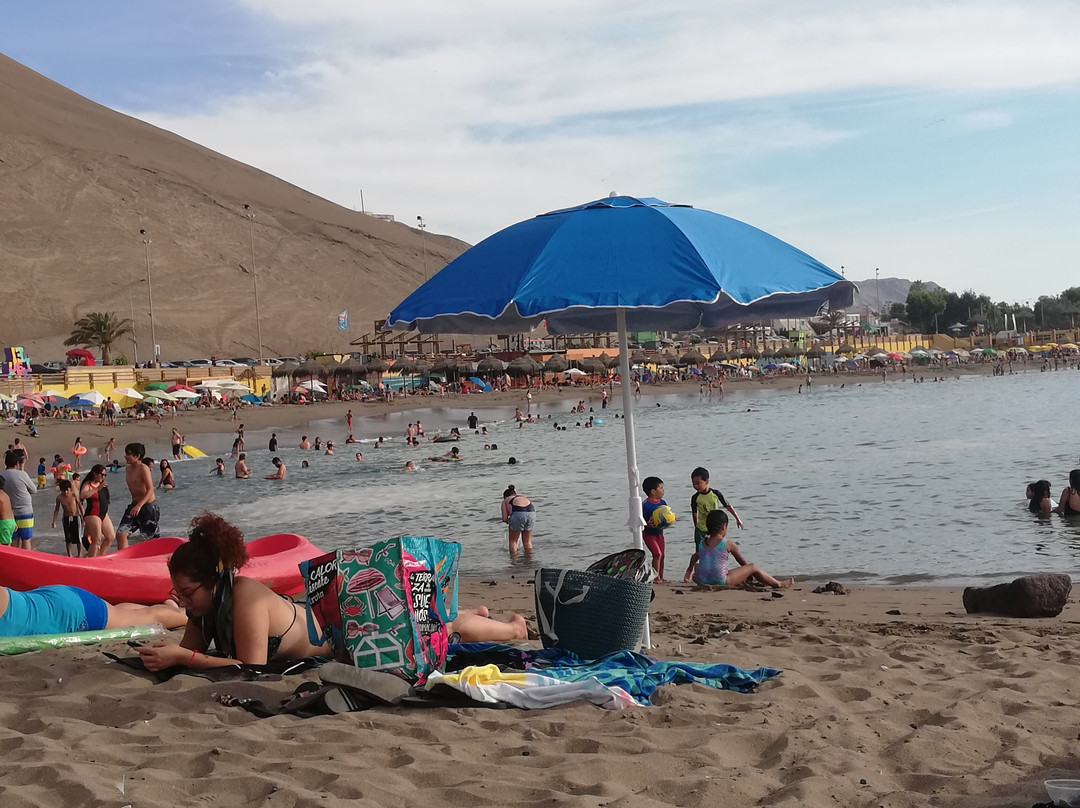 El Laucho Beach-阿里卡必去景点