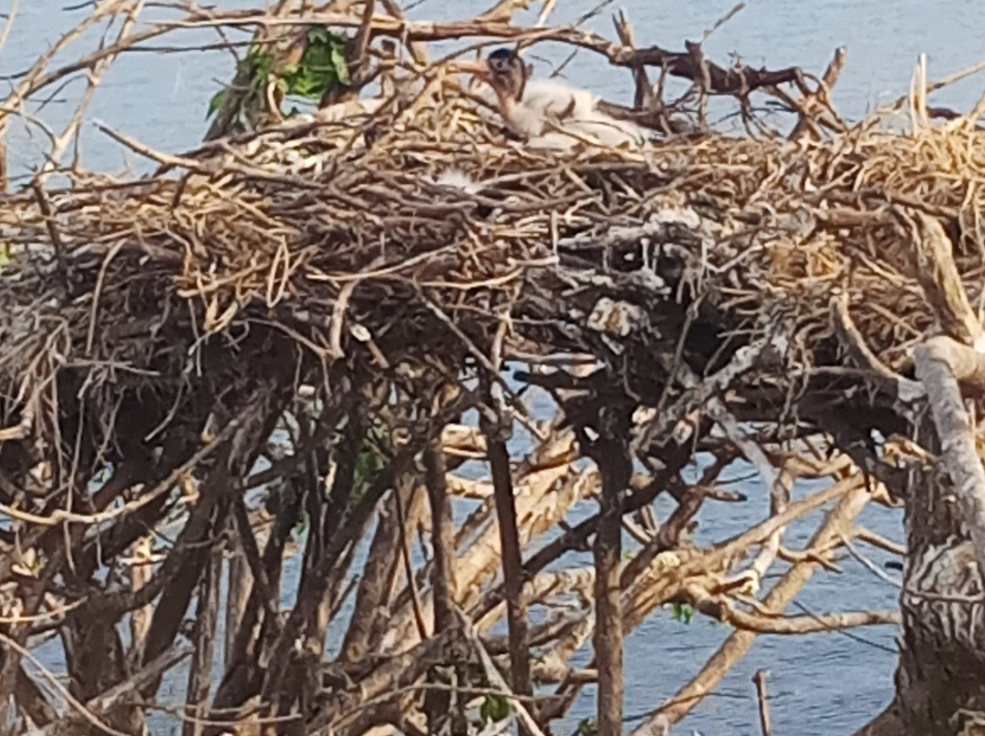 普赖米特中心旅馆主图