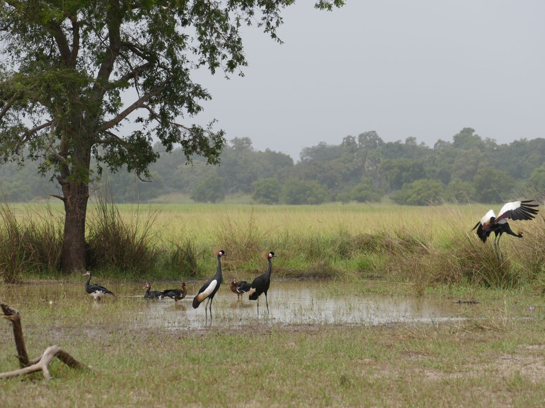 Pendjari National Park-Tanguieta必去景点