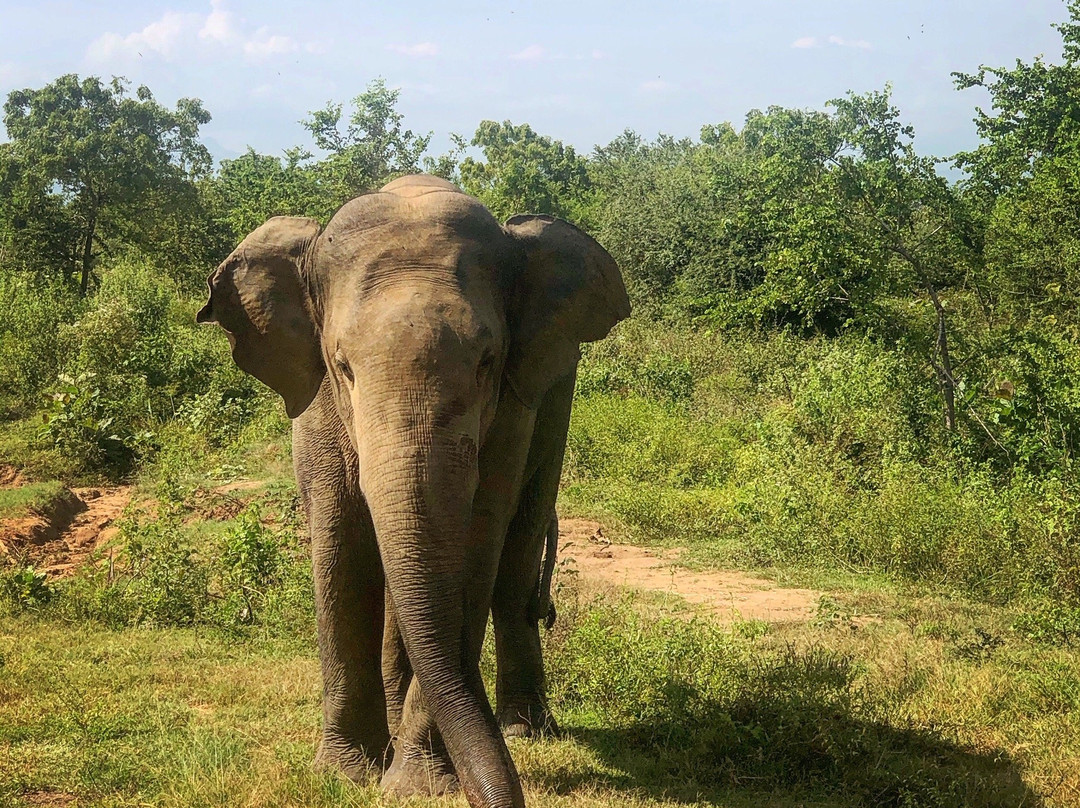 Senu Cabs-唐卡拉必去景点