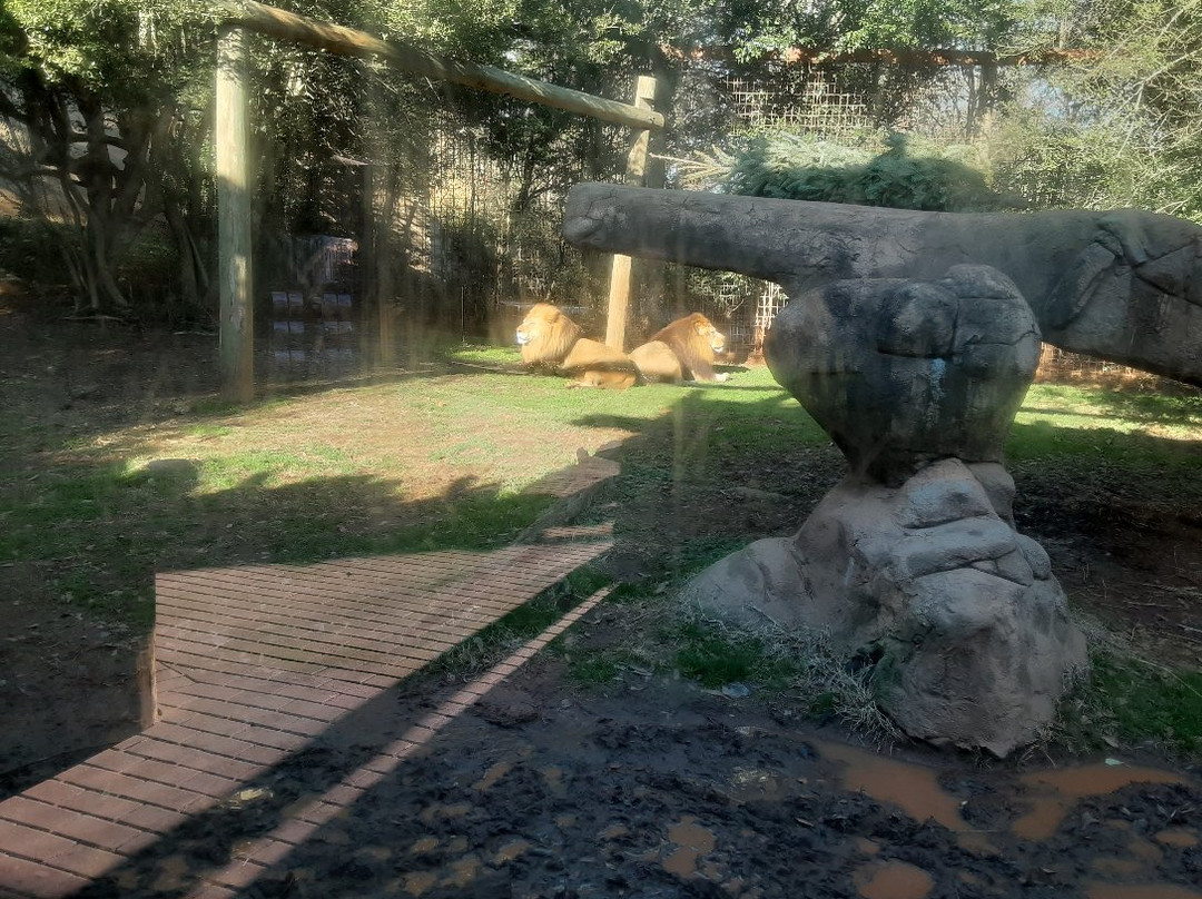 Greenville Zoo景点图片
