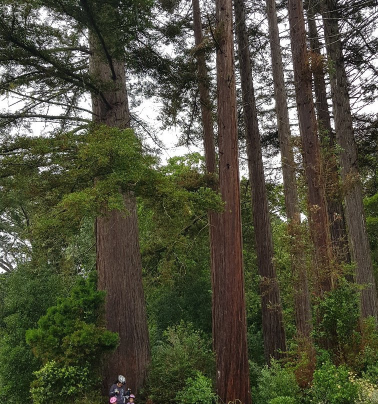 Harkerville Mountain Bike Trails-哈克城必去景点