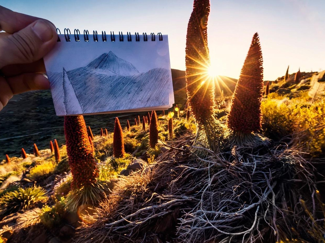 One Guide Tenerife-圣克鲁斯-德特内里费必去景点