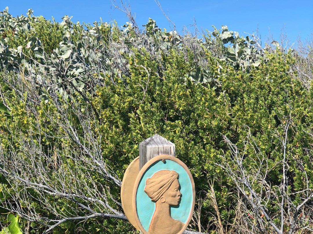 Crossing Place Trail-Conch Bar必去景点