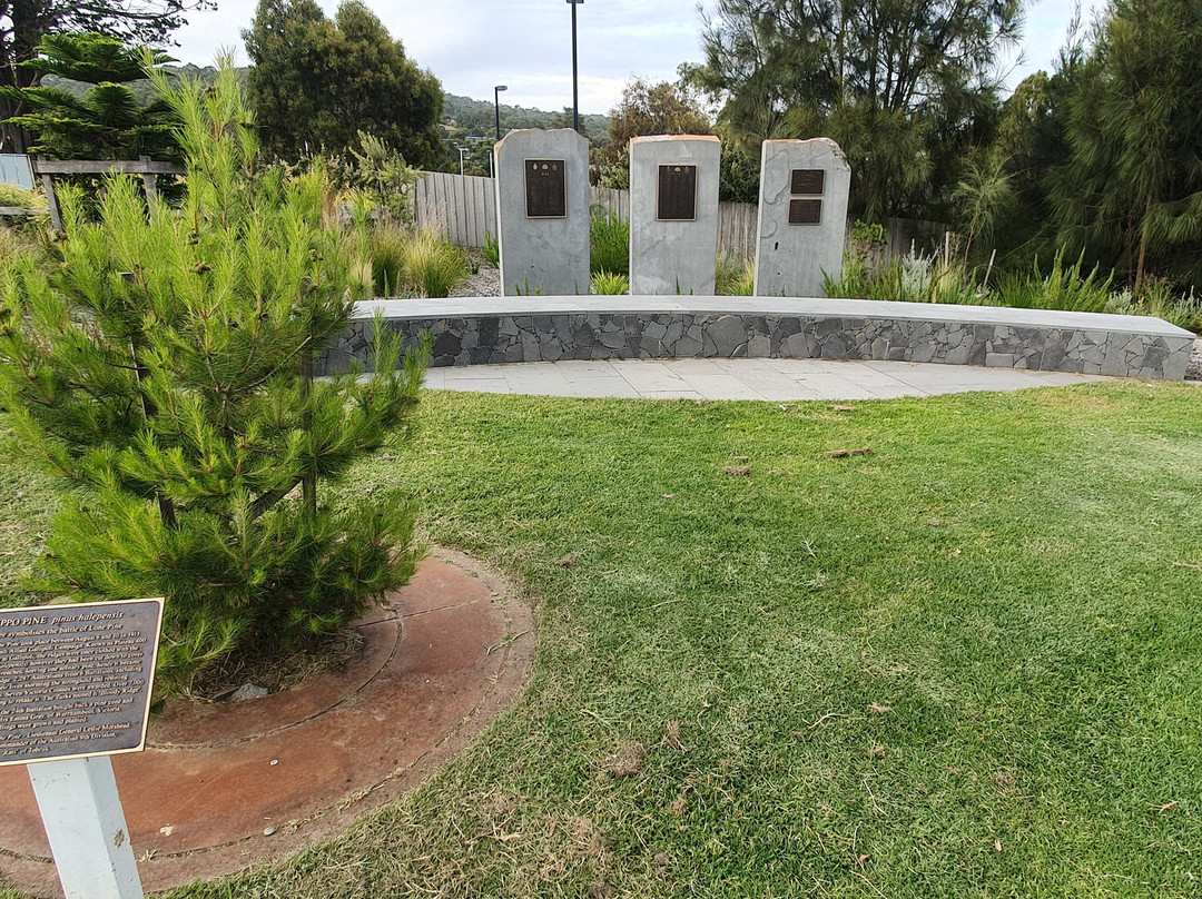 Anzac Memorial Park-洛恩必去景点