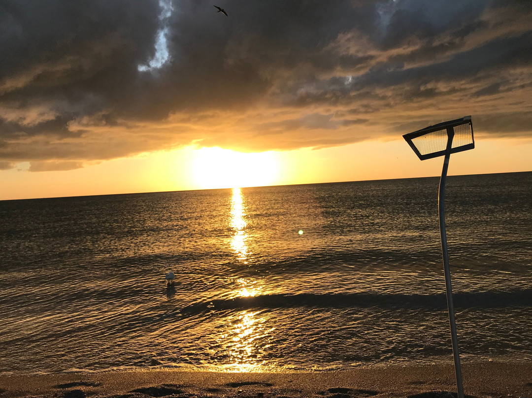 Pearl Beach Inn主图