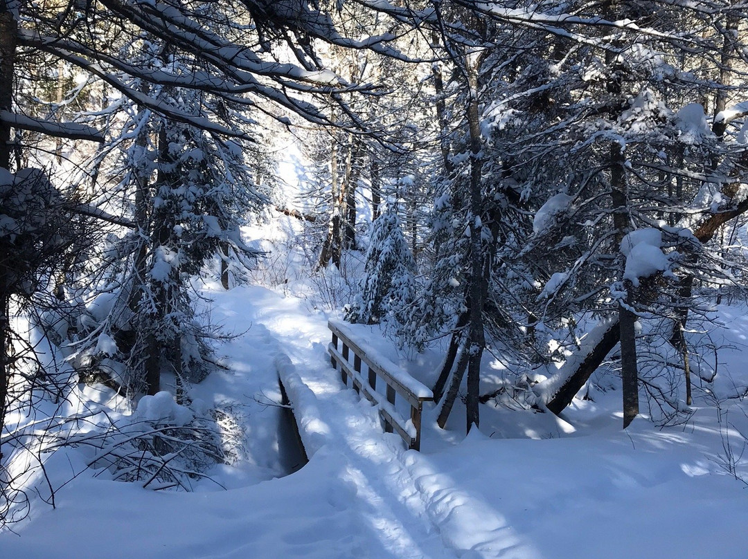 Bass Lake Trail-伊利必去景点