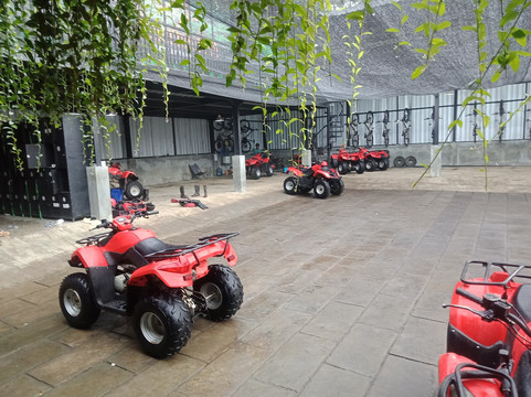 Bali Paradise Tours-登巴萨必去景点