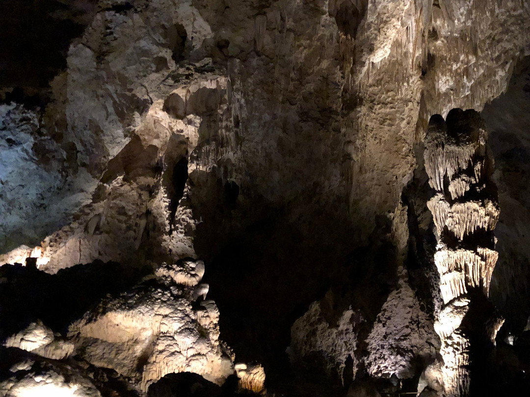 Giant Dome-卡尔斯巴德洞穴国家公园必去景点