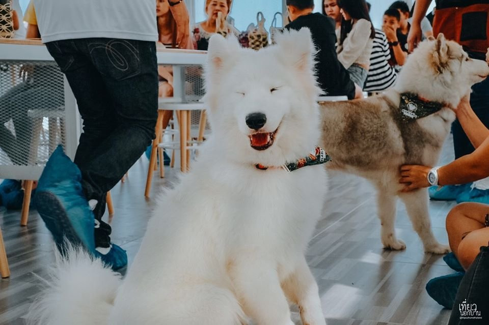 Bla Bla Boo-挽巴茵必去景点