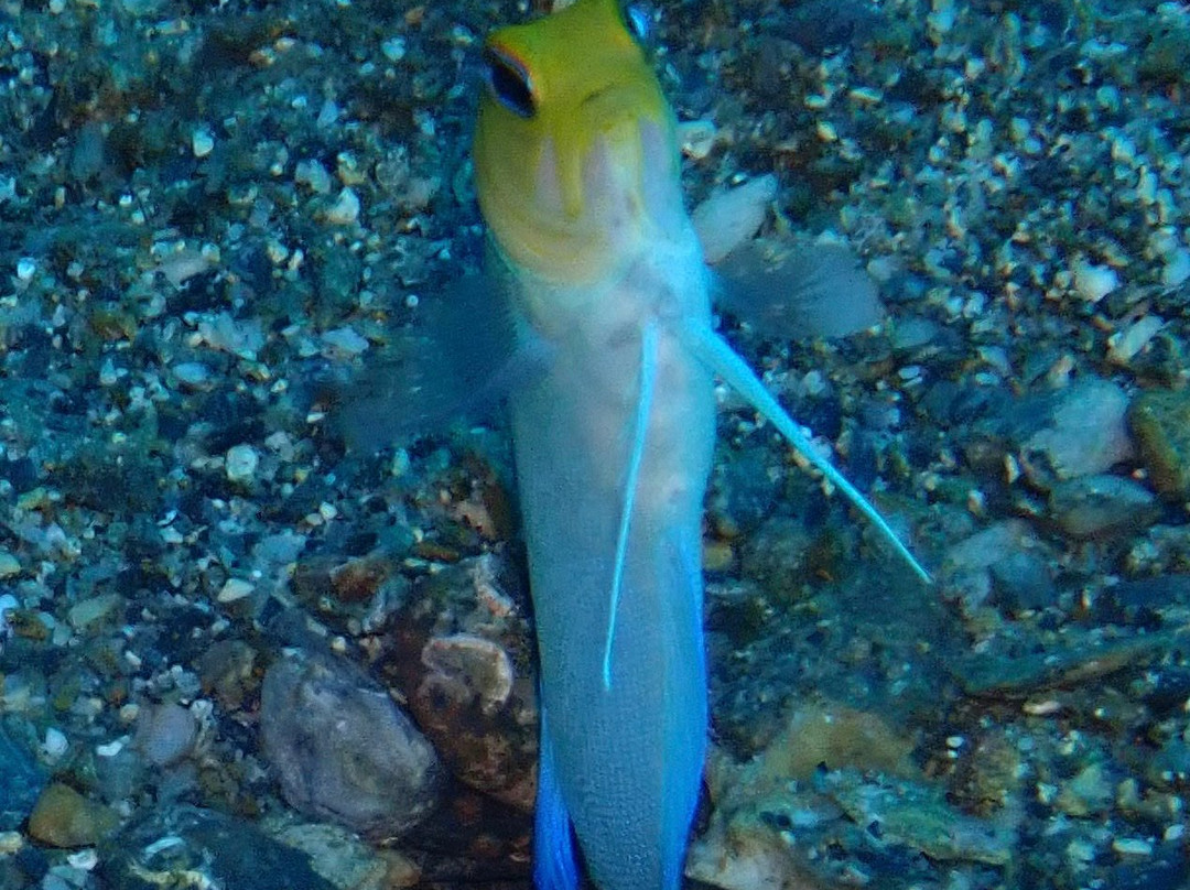 Reto Muller-位于塔甘加必去景点