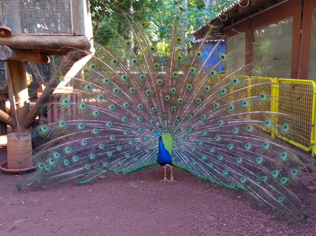 Estancia Ronco das Aguas主图
