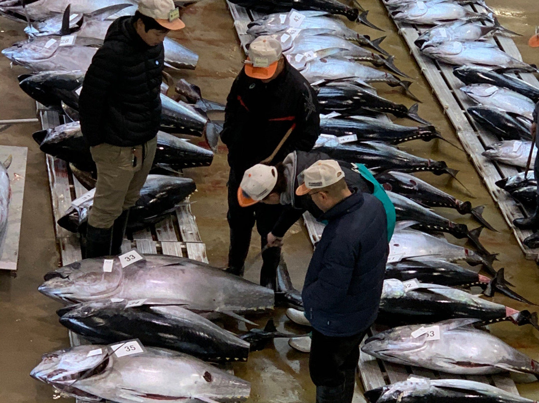 Choshi Fishing Port-铫子市必去景点