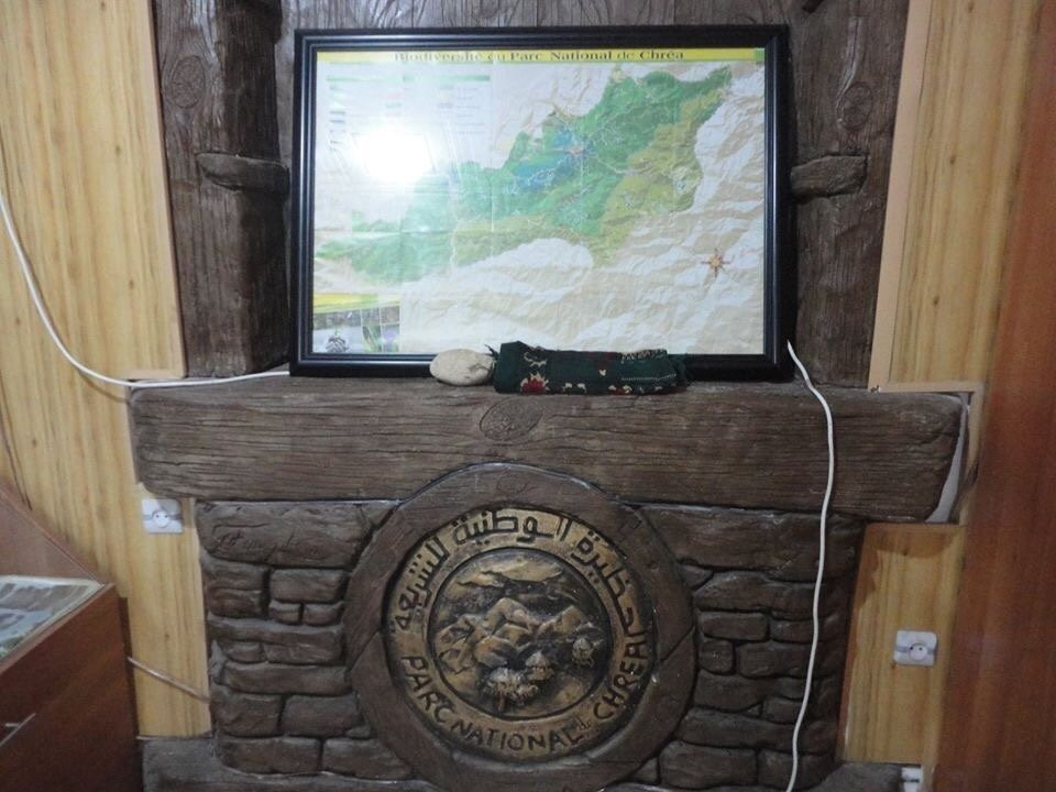 Chréa National Park Museum景点图片