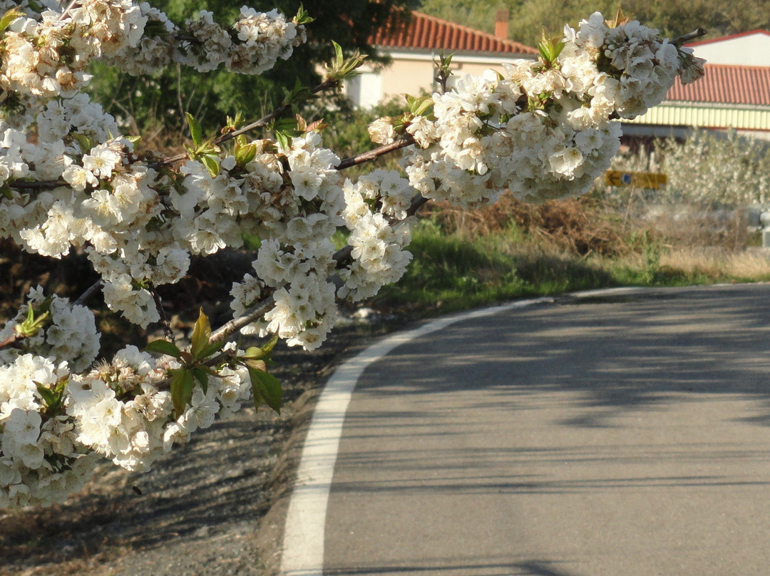 Hotel Los Arenales主图