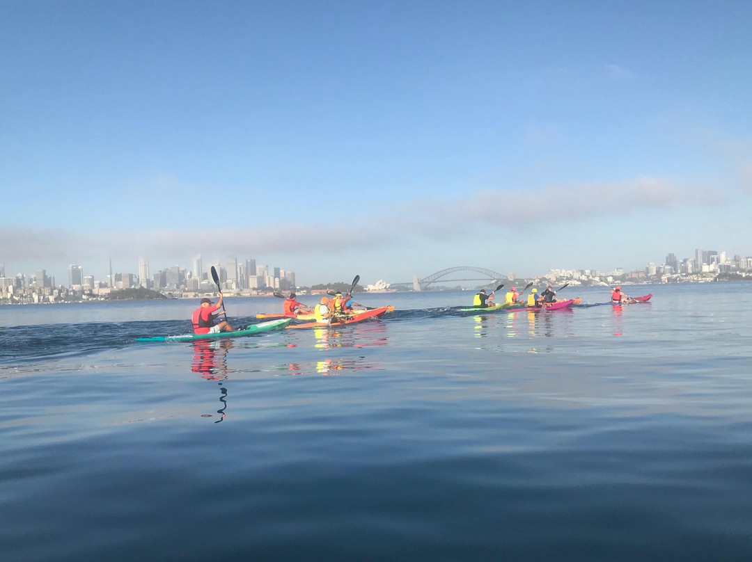 Rose Bay Aquatic Hire-Rose Bay必去景点