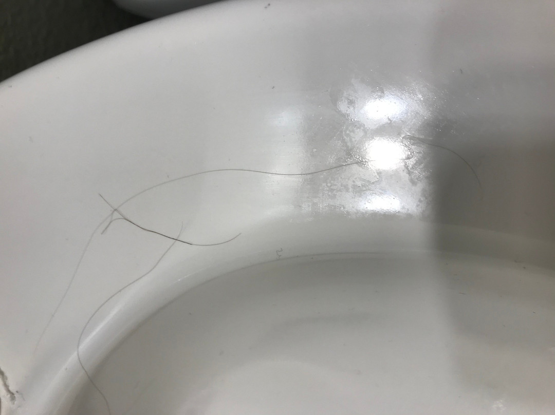 Evergreen Motel主图