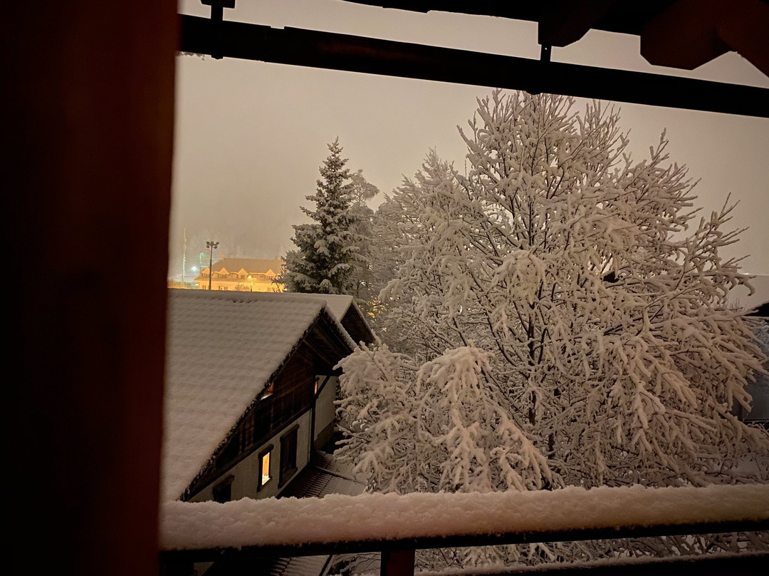 Chalet Hotel Adler主图