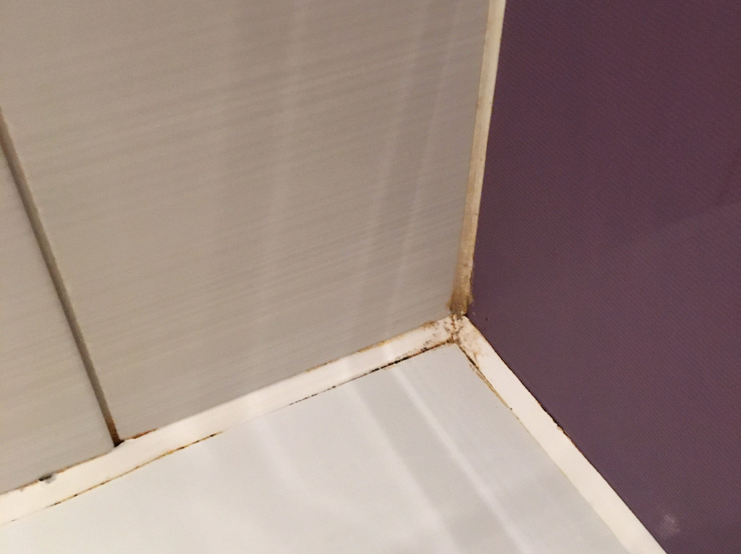 Premier Inn Birkenhead Town Centre Hotel主图