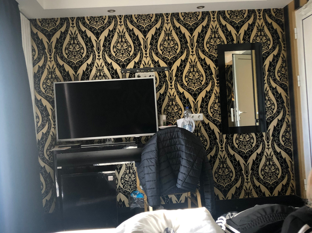 Villa Monte Dana Amsterdam Airport主图