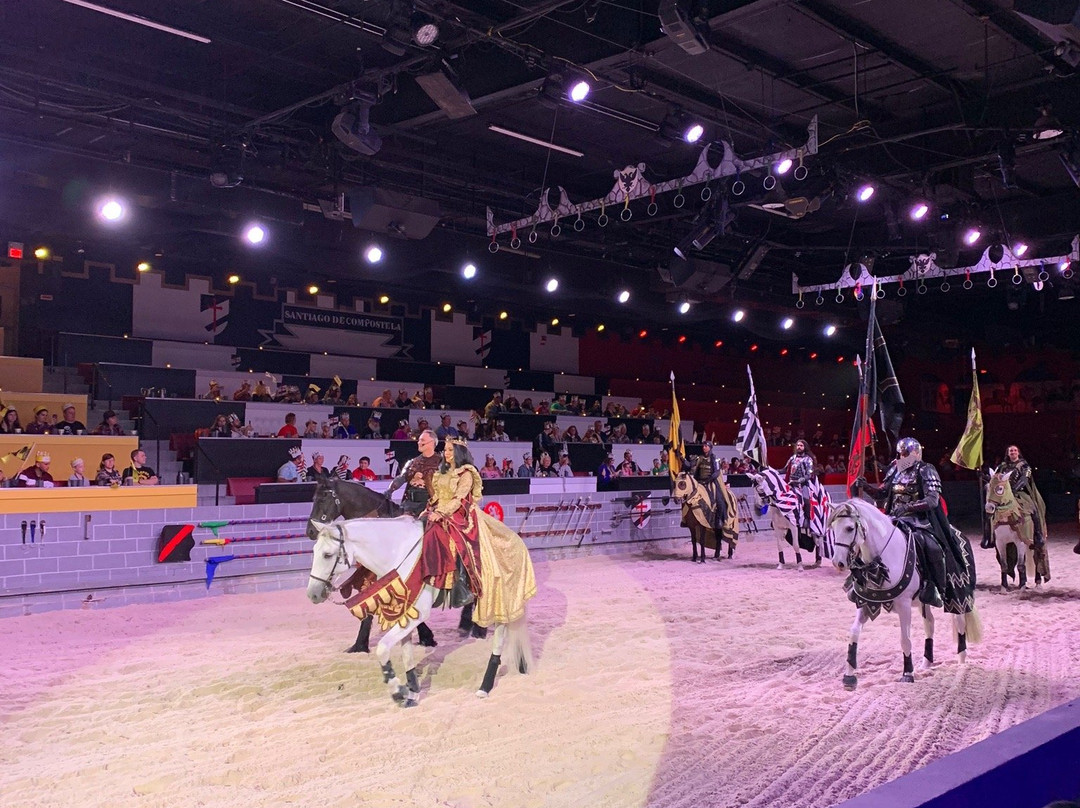 Medieval Times Dinner & Tournament景点图片