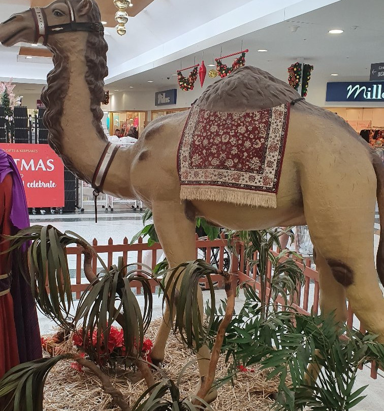 Narellan Town Centre-Narellan必去景点