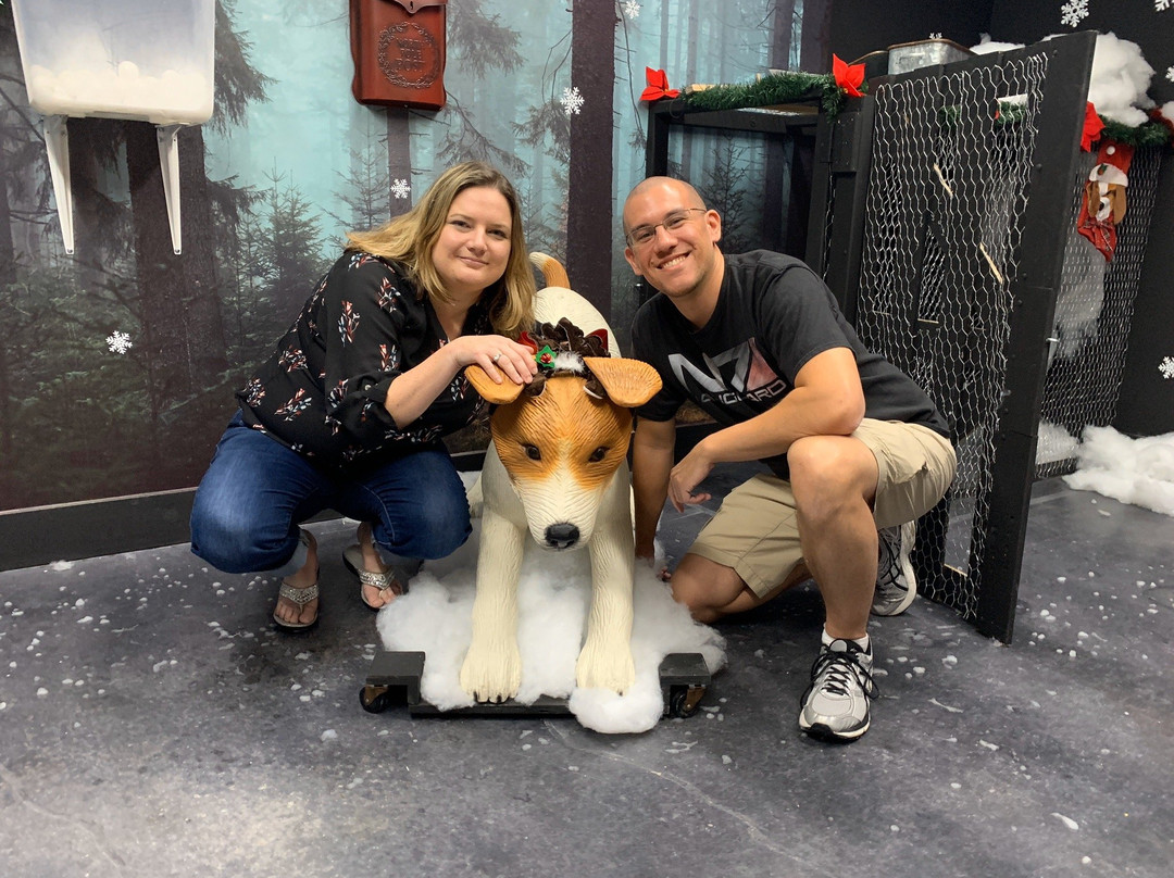 Nexus Escape Room-彭布罗克派恩斯必去景点