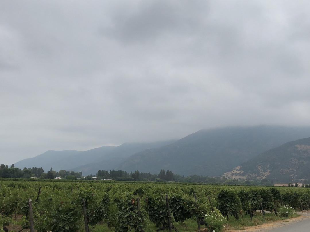 Viña Casa Silva-San Fernando必去景点