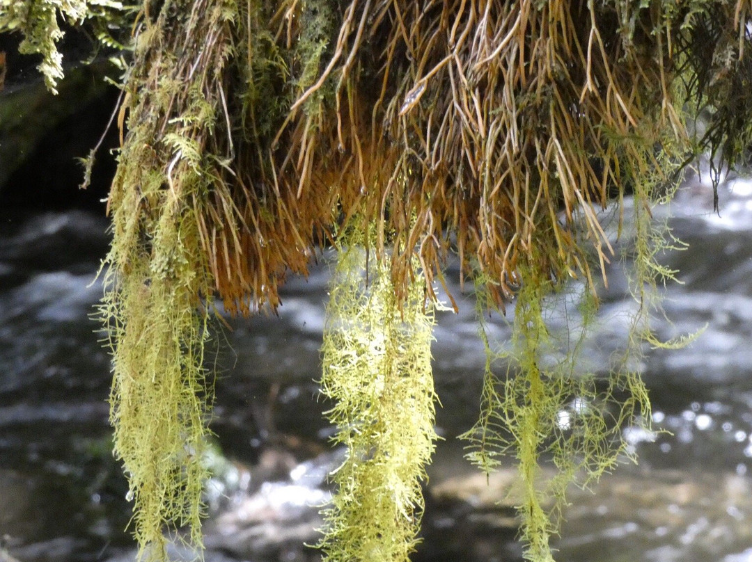 Junee Caves-Maydena必去景点