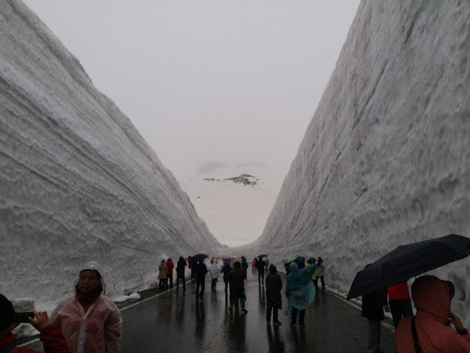 Yuki no Otani (Snow Wall)景点图片