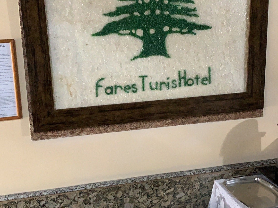 Fares Turis Hotel主图