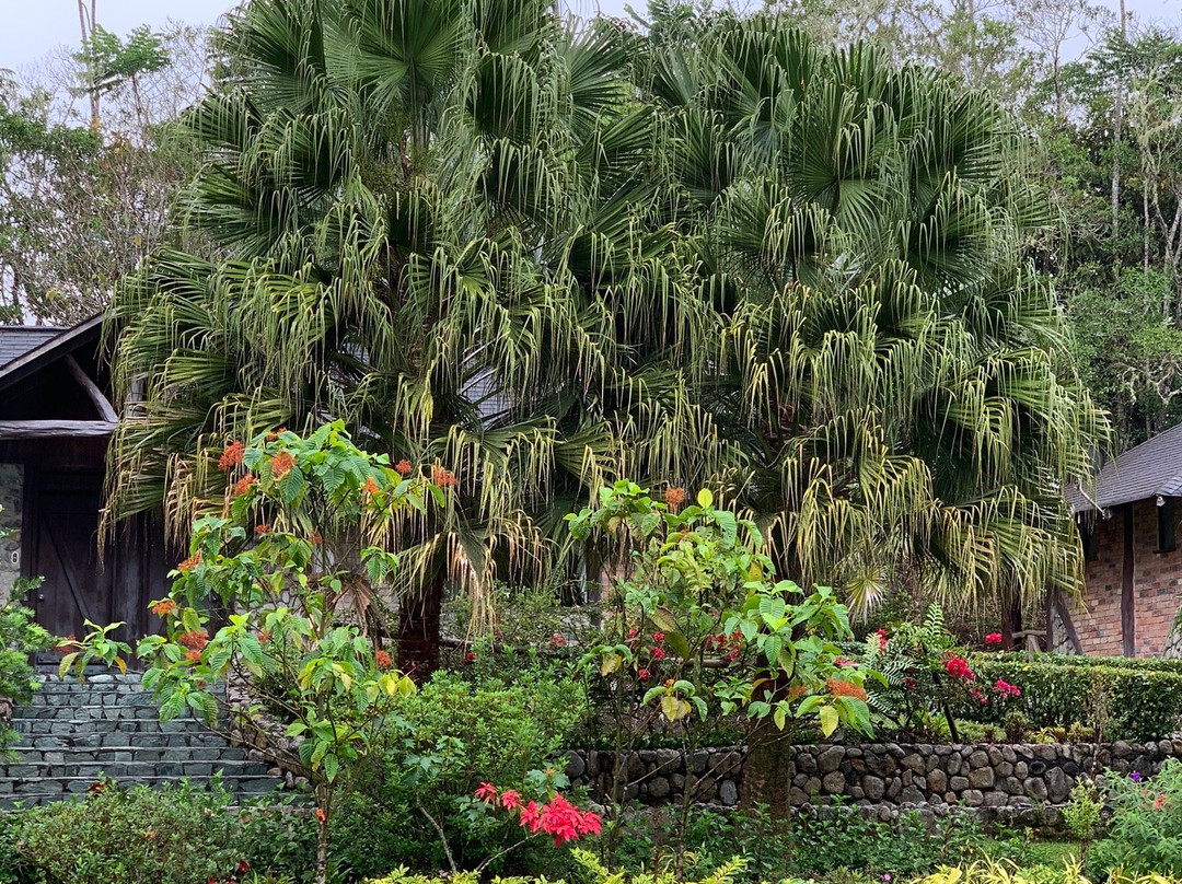 Hosteria Arrayan y Piedra主图