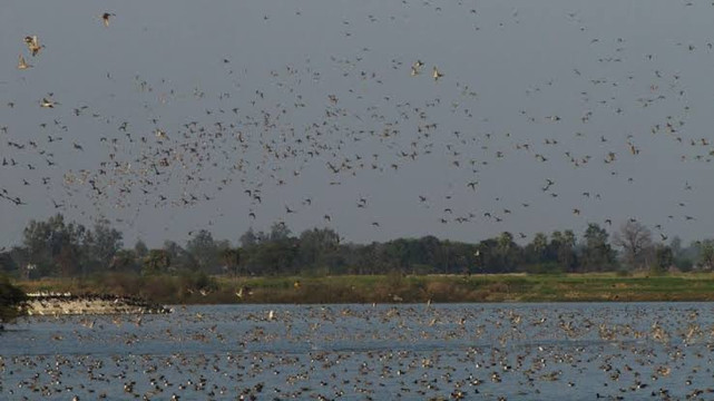 Lakh Bahosi Sanctuary-Kannauj必去景点