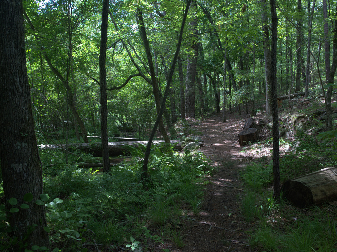 Kreher Preserve & Nature Center-奥本必去景点