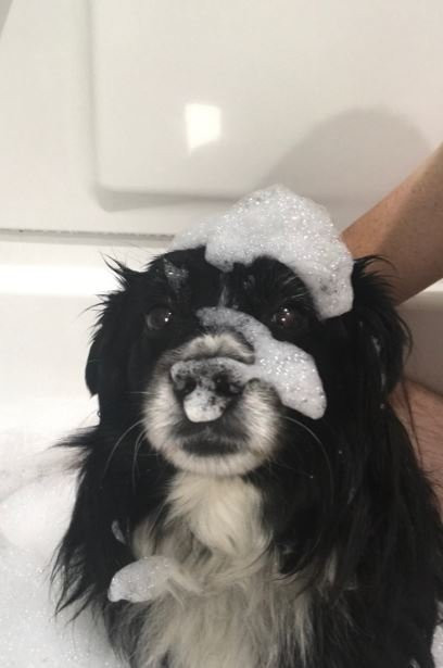 Uptown Suites Extended Stay Nashville TN - Smyrna主图