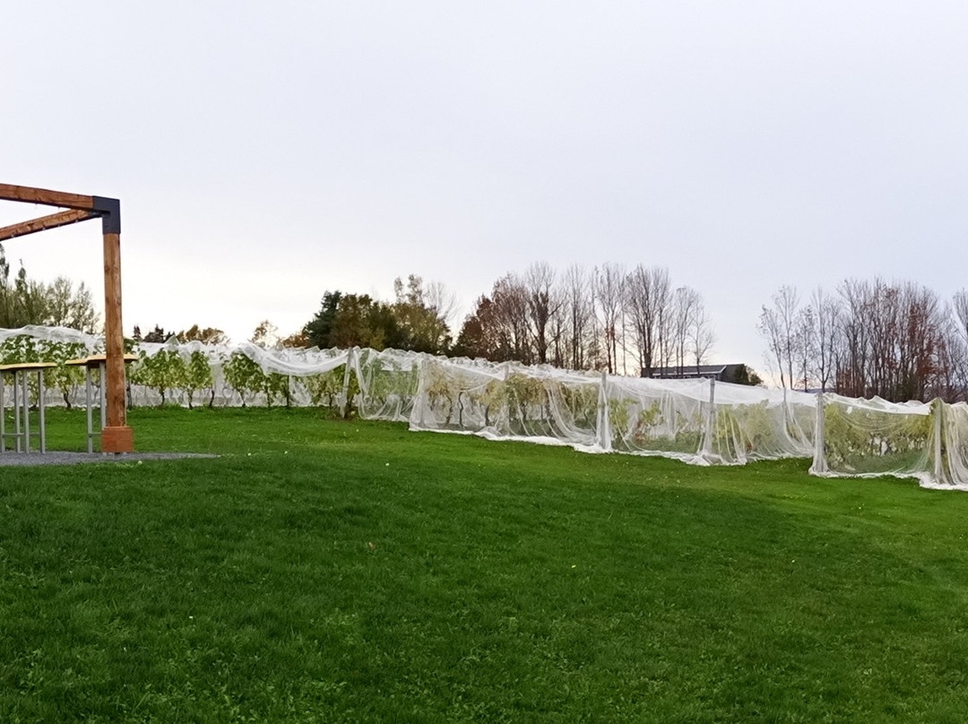 Downeast Motel主图