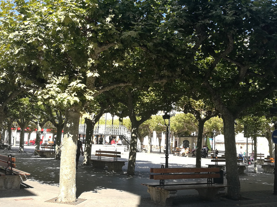 Plaza Mayor景点图片