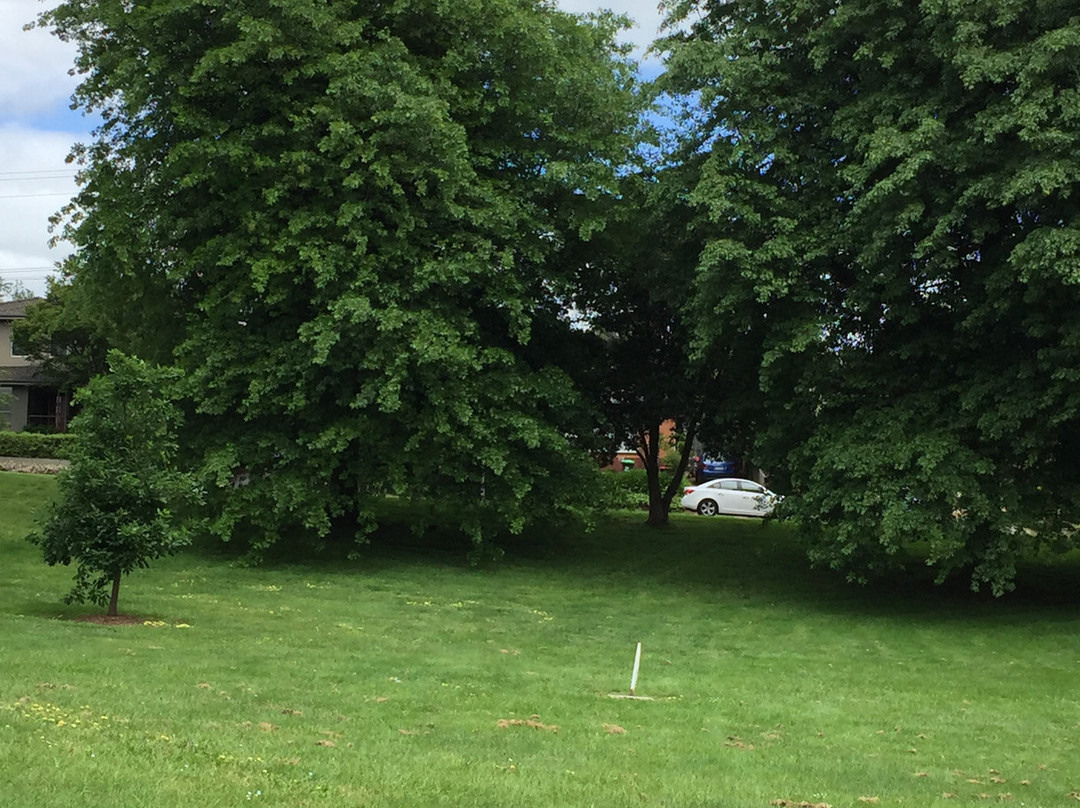 Boronia Street Park-沃拉格尔必去景点