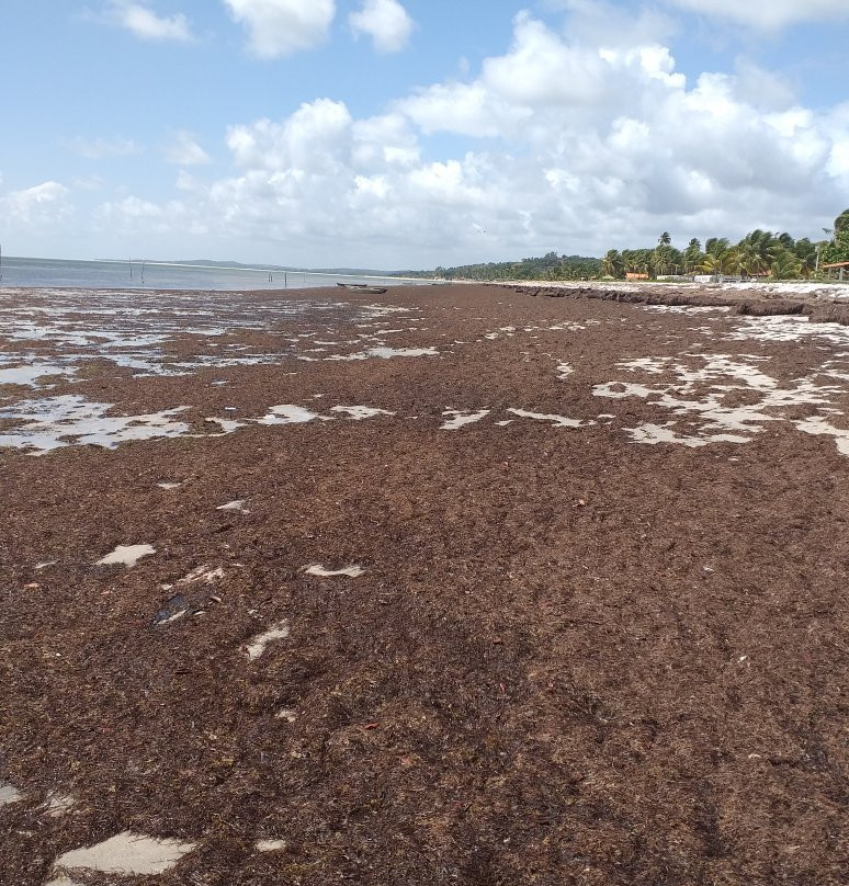 Catuama Beach-Goiana必去景点