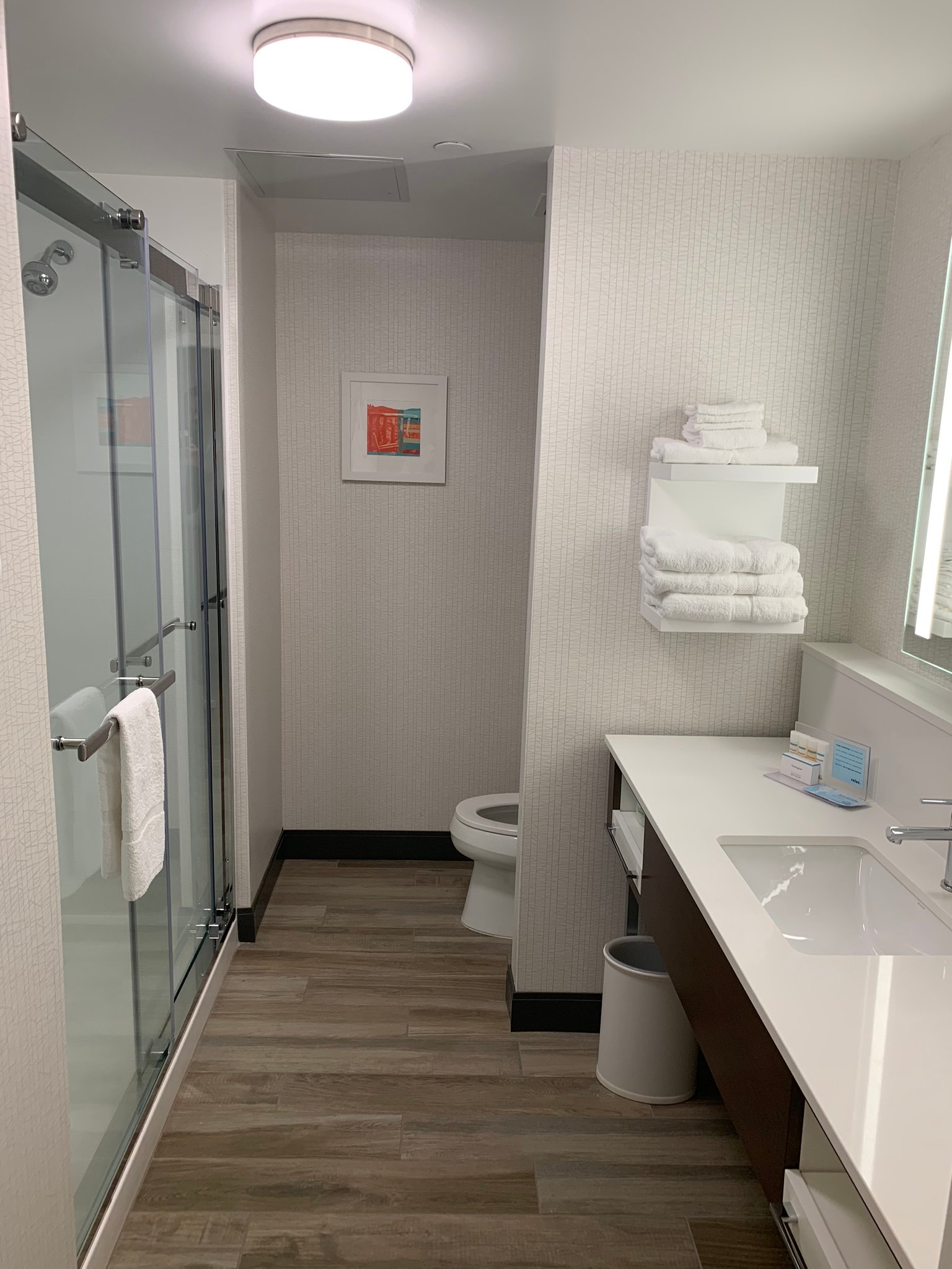 Hampton Inn Black Mountain-浴室