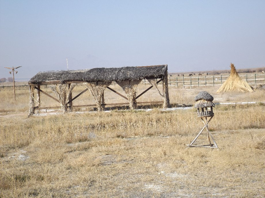 Sultansazlıgi Milli Parki-Yesilhisar必去景点