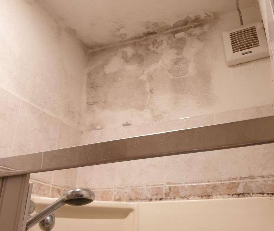 Hotel Daniela Ferrara Budget Hotel主图