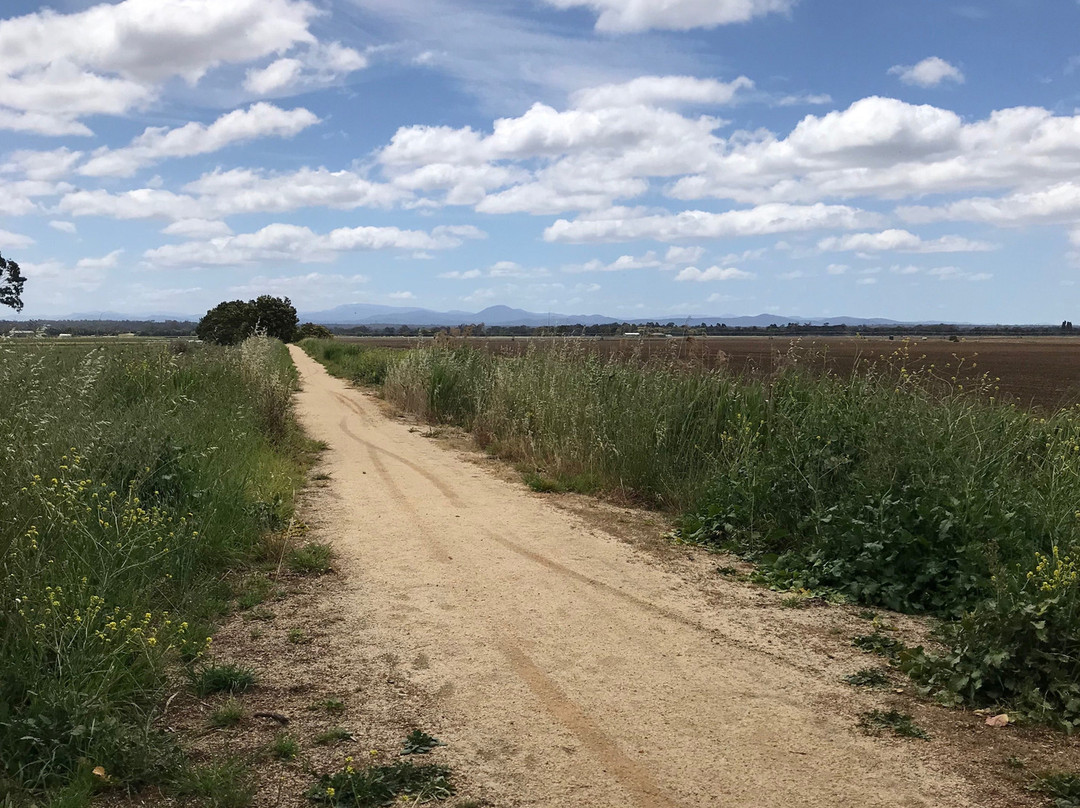 Rainbow Creek Bridge-Cowwarr必去景点