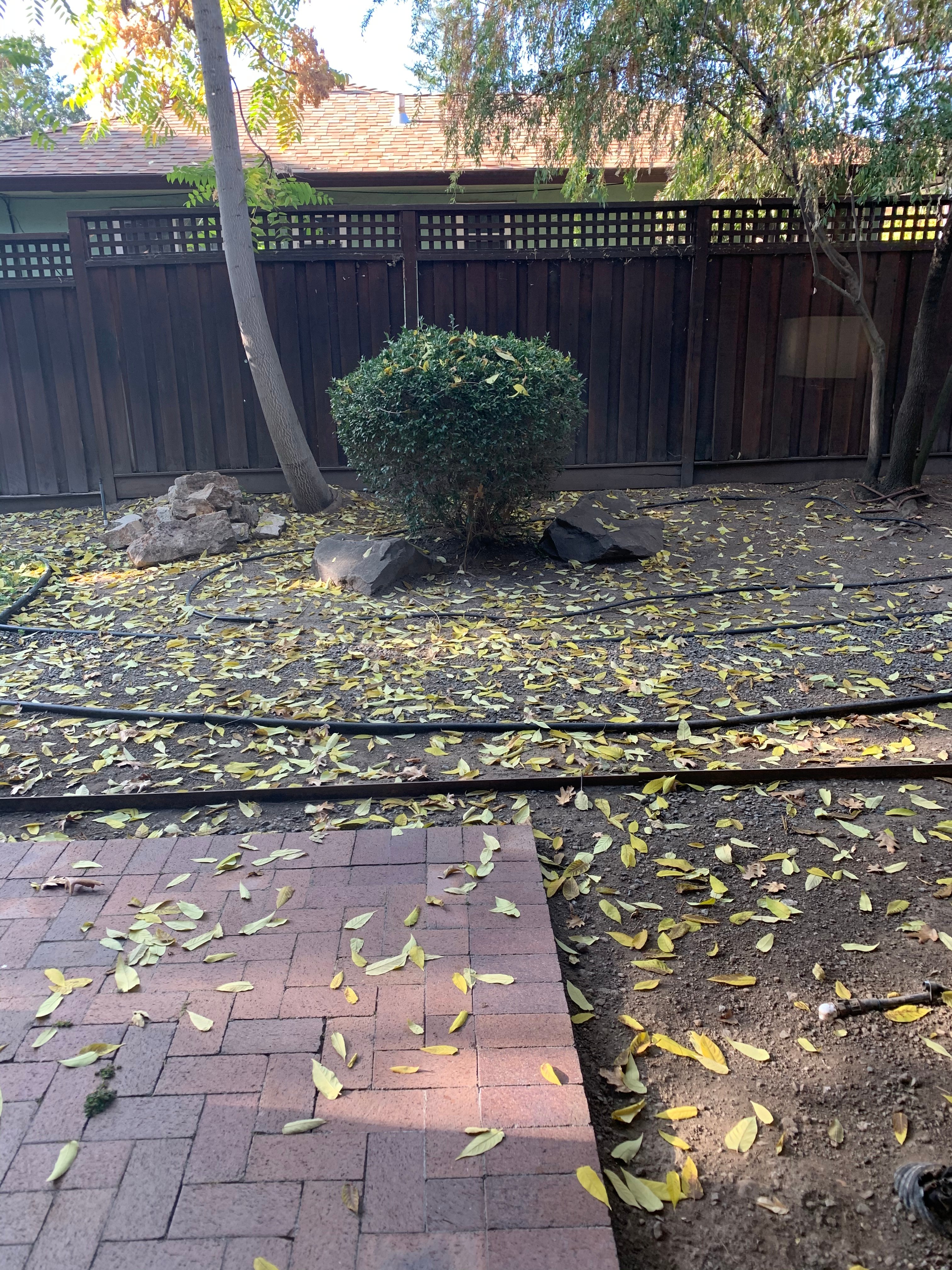 El Bonita Motel-portrait