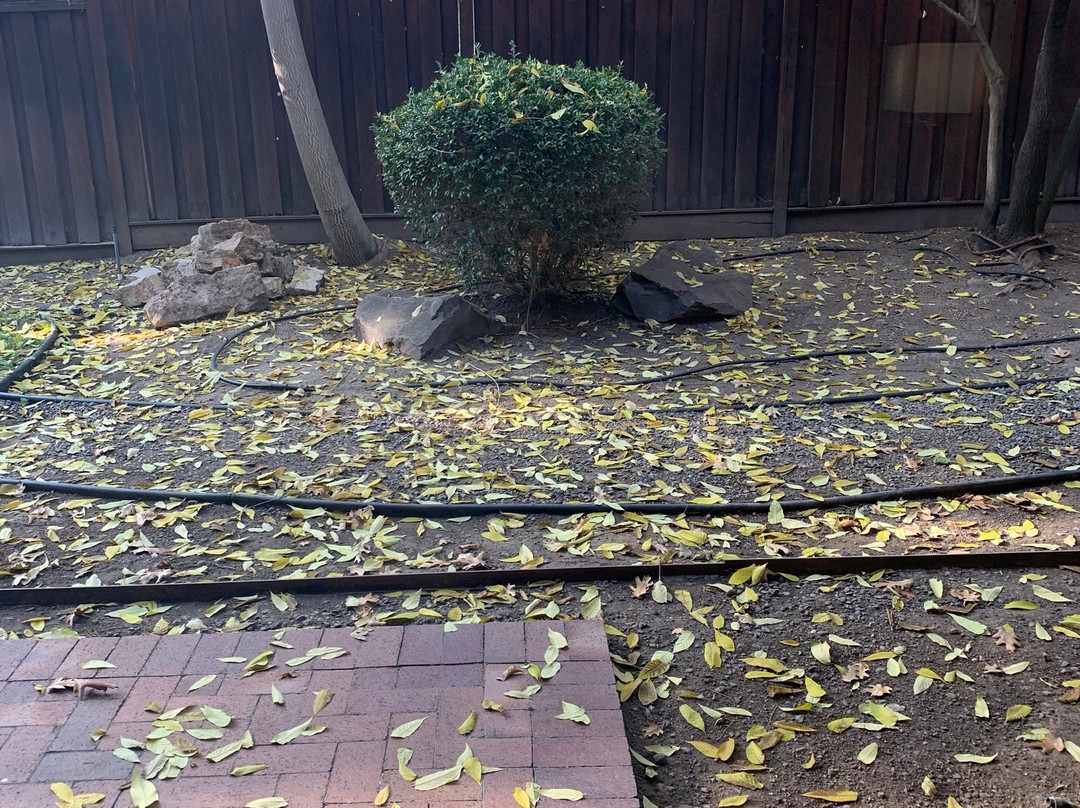 El Bonita Motel主图