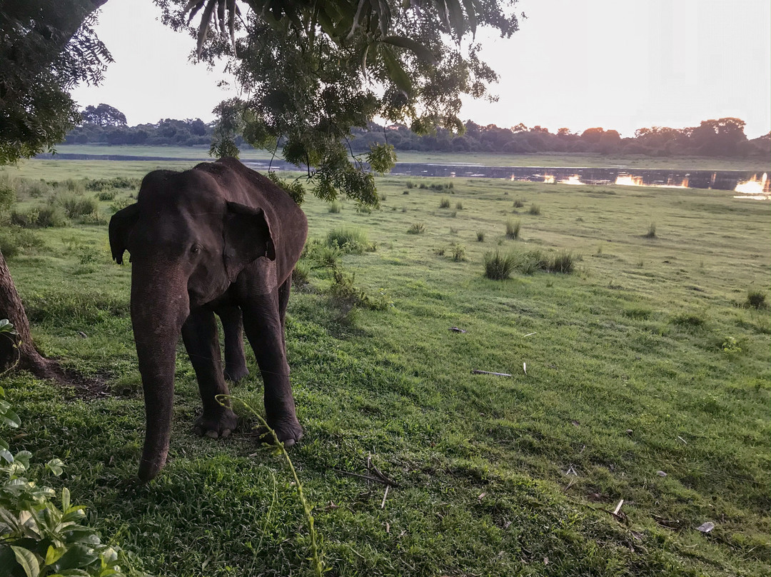 湖泊公园酒店主图