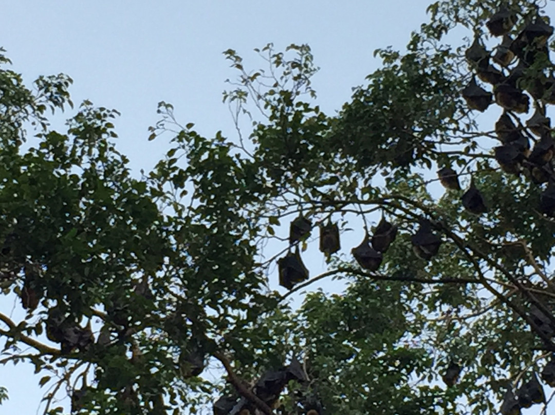 Cairns Library-凯恩斯必去景点